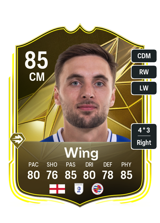 Wing Mystery Token