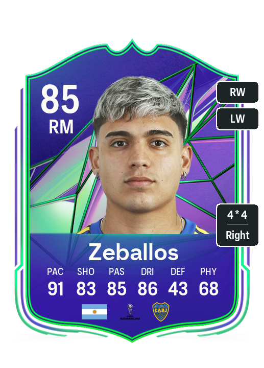 Zeballos Mystery Token