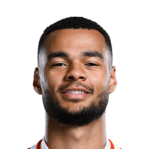 Player image