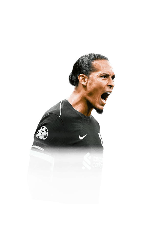 FC 25 van Dijk Face