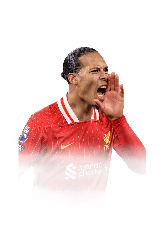 FC 25 van Dijk Face